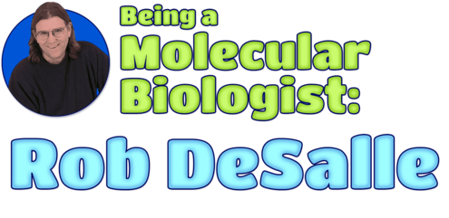 Being a Molecular Biologist: Rob DeSalle
