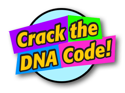 Crack the DNA Code!