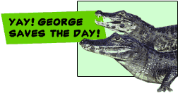 A photo of two caimans with a superimposed graphic with the words, "Yay! George saves the day!"