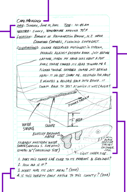 field journal page with name, date, weather, location, observations and drawings recorded by hand