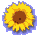 bracelet_sunflower