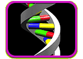 Rendering of a portion of a DNA double helix with colorful base pairs.