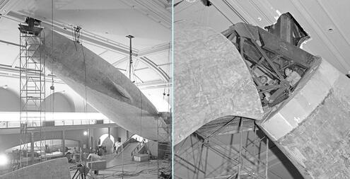 Early photo showing whale being constructed, along with a closeup of the support pipe