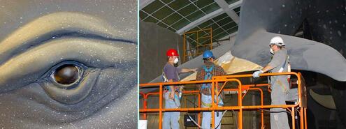 2 images: Closeup of whale model's eye; Construction workers gathered around whale model's tail