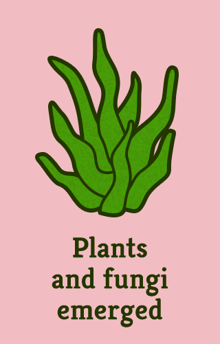 "Plants and fungi emerged"