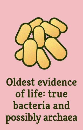 "Oldest evidence of life: true bacteria and possibly archaea"