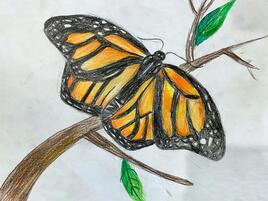 illustration of monarch butterfly on tree branch