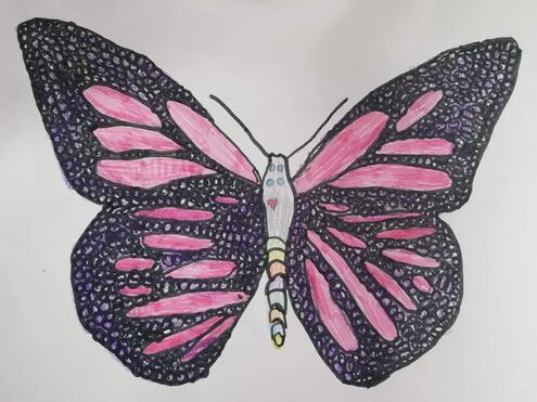 creative illustration of pink and black butterfly