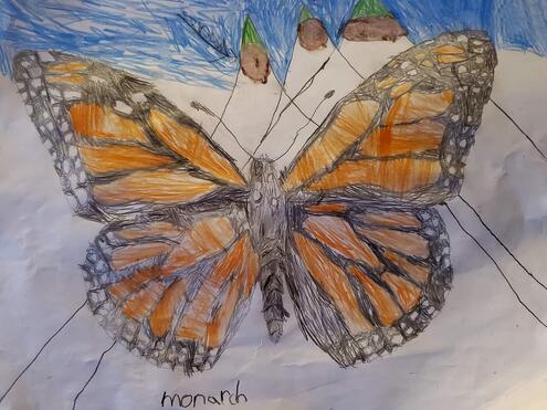 illustration of monarch butterfly with mountain peaks in the background