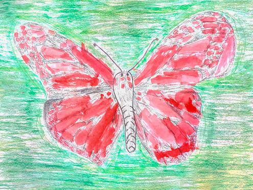 red butterfly illustration on green background