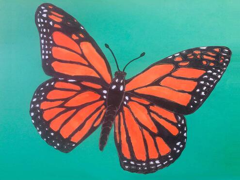 vibrant orange monarch illustration on vivid green background