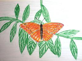 orange butterfly sitting on leafy branch