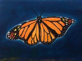 monarch butterfly illustration on dark blue background