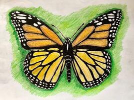 monarch butterfly illustration with bright green background