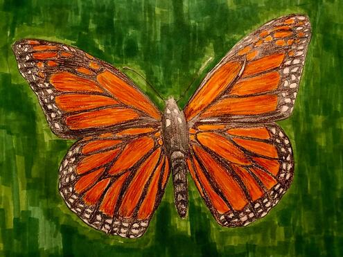 monarch butterfly illustration on dark green background