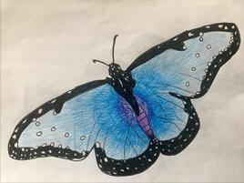 illustration of blue butterfly with black edges