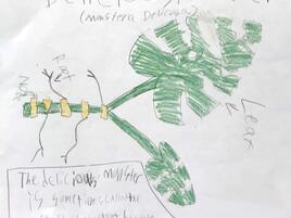drawing of a delicious monster plant with diagramming of its parts