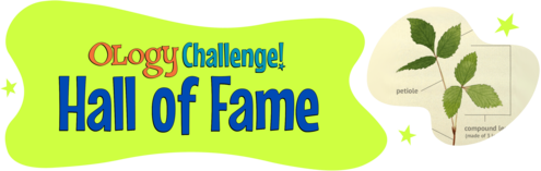 OLogy Challenge! Hall of Fame
