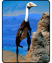 Recreation of a Shuvuuia dinosaur, a relatively small and feathered animal with a long neck and beak.