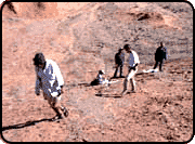 Five people walk along desert ground.