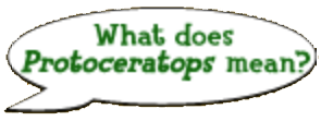 Text reading "What does Protoceratops mean?" inside of a speech bubble.