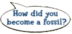 Text reading "How did you become a fossil?" inside of a speech bubble.