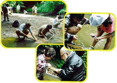 Three overlapping images showing people in a shallow river using sifting tools to look through rocks in the river.