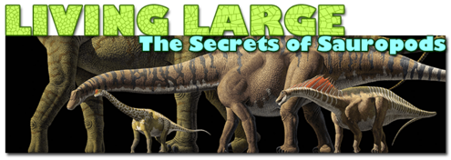 Living Large: The Secrets of Sauropods with picture of Sauropods in a line-up