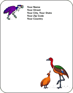 Stationery template with colorful illustrations of a Diatryma in the upper left corner and a Eudromia and Presbyornis bird in the bottom right.