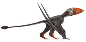 Illustration of the pterosaur Dimorphodon macronyx, with a long thin tail and triangular beak.