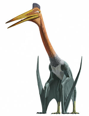 Illustration of the pterosaur Quetzalcoatlus northropi, with a long neck.