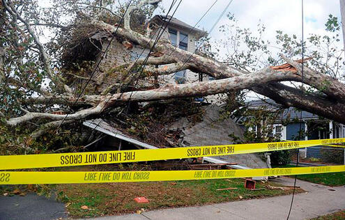 On a residential street, a house now cordoned off with yellow tape had its roof crushed by a fallen tree that also pulled down adjacent power lines.