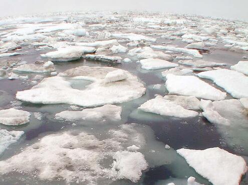chunks of sea ice