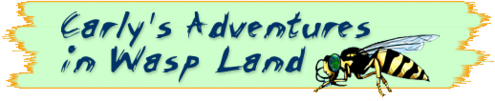 Stylized text "Carly's Adventures in Wasp Land" on rectangular background with jagged edge and an illustration of a wasp in the right corner.