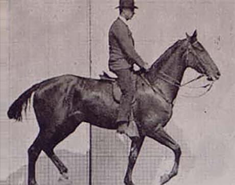 side view of man riding a trotting horse