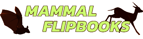 Mammal Flipbooks