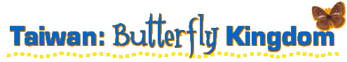 Stylized text reading "Taiwan: Butterfly Kingdom" underlined with colorful dots, with an illustrated butterfly above the "m."