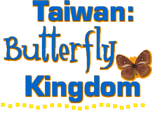 Stylized, colorful text reading "Taiwan: Butterfly Kingdom" with "Kingdom" underlined in bright dots and a butterfly above the "m."