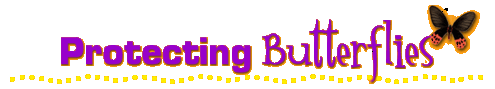 Stylized text reading "Protecting Butterflies" underlined with colorful dots, with an illustrated butterfly above the "s."