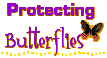 Stylized, colorful text reading "Protecting Butterflies" with "Butterflies" underlined with bright dots and a butterfly illustration above the "s."