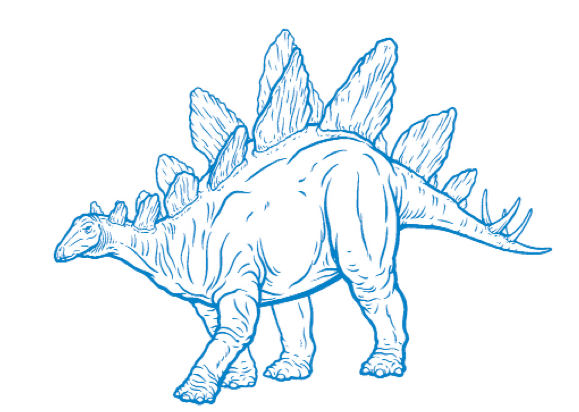 A drawing of what seems to be a Stegosaurus. It is a quadruped dinosaur with upright plates along its spine, a tail tipped with spikes, short fore limbs and longer hind limbs.