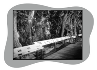 discover-biodiversity_thumb