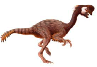 flesh-out-a-fossil_thumb