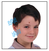 genetics-journey-quiz