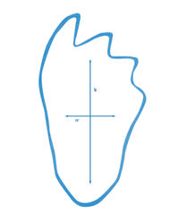 how-big-were-dinosaurs