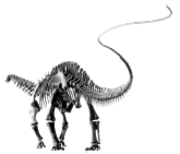 understanding-cladistics_thumb