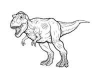 What is a Dinosaur_thumb