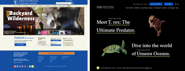 Before and after views of the web site home page for the American Museum of Natural History.