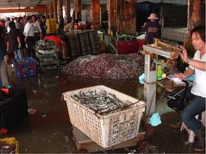 A fish market with piles of fish and baskets of fish on the floor, and people milling around.