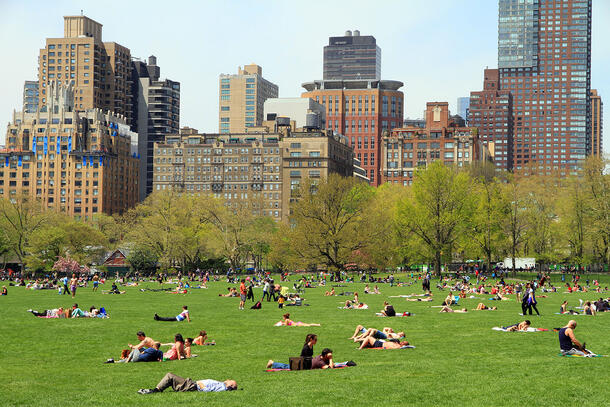 Lots of people sitting and lying on the lawn in the Central Park Sheep Meadow, with NYC skyscrapers in view in the background.